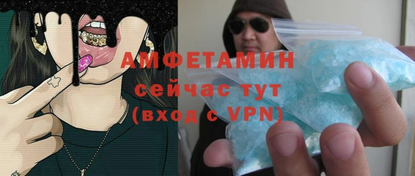 шишки Заводоуковск