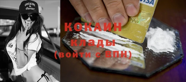 шишки Заводоуковск