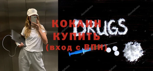 шишки Заводоуковск