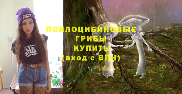 шишки Заводоуковск