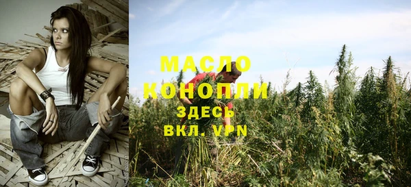 шишки Заводоуковск