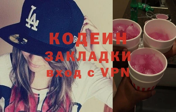 шишки Заводоуковск