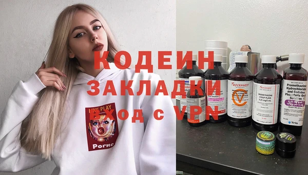 шишки Заводоуковск