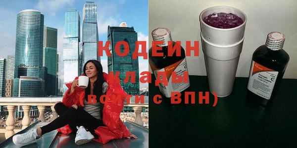 шишки Заводоуковск