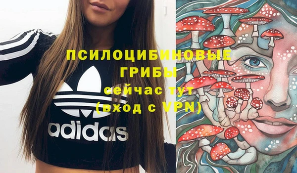 мдма Фурманов
