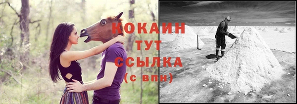шишки Заводоуковск