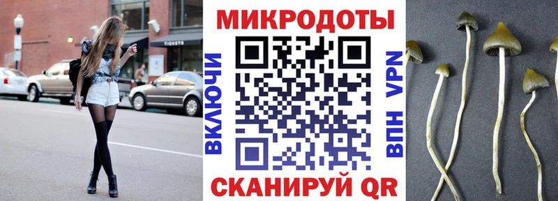 Галлюциногенные грибы Psilocybine cubensis  Сусуман 