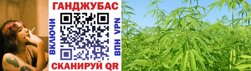 ссылка на мегу маркетплейс  Сусуман  Каннабис план 